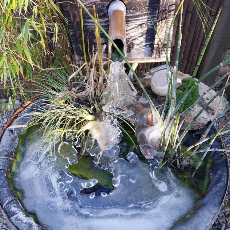 La Cabane Des Colibris Rieupeyroux  Esterno foto